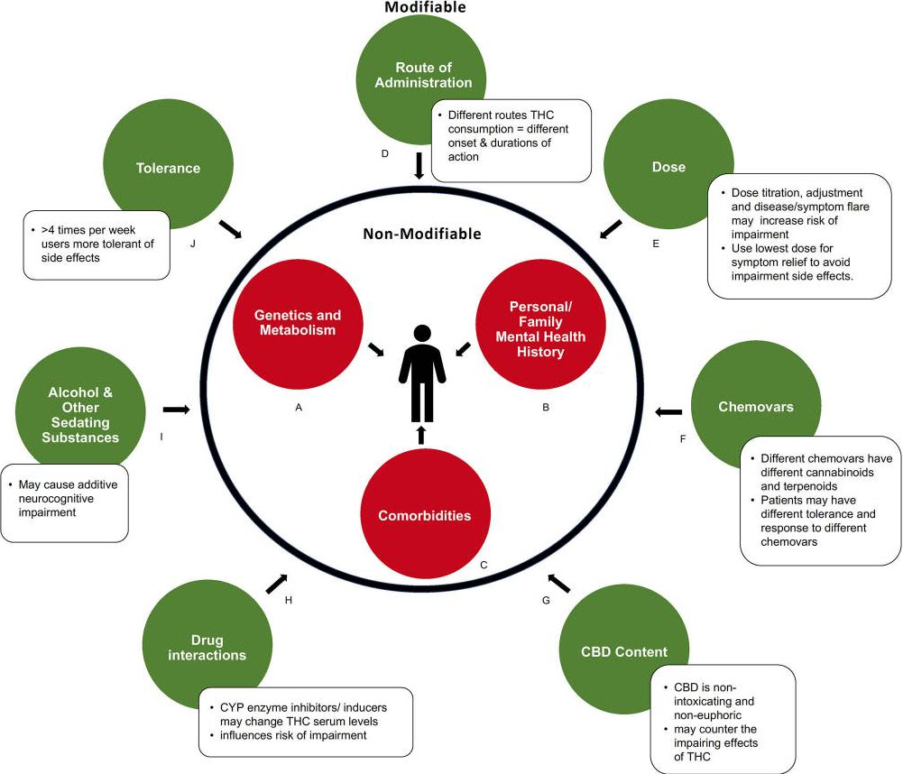 Cannabis vs Opioids - MCPA - National Library of Medicine