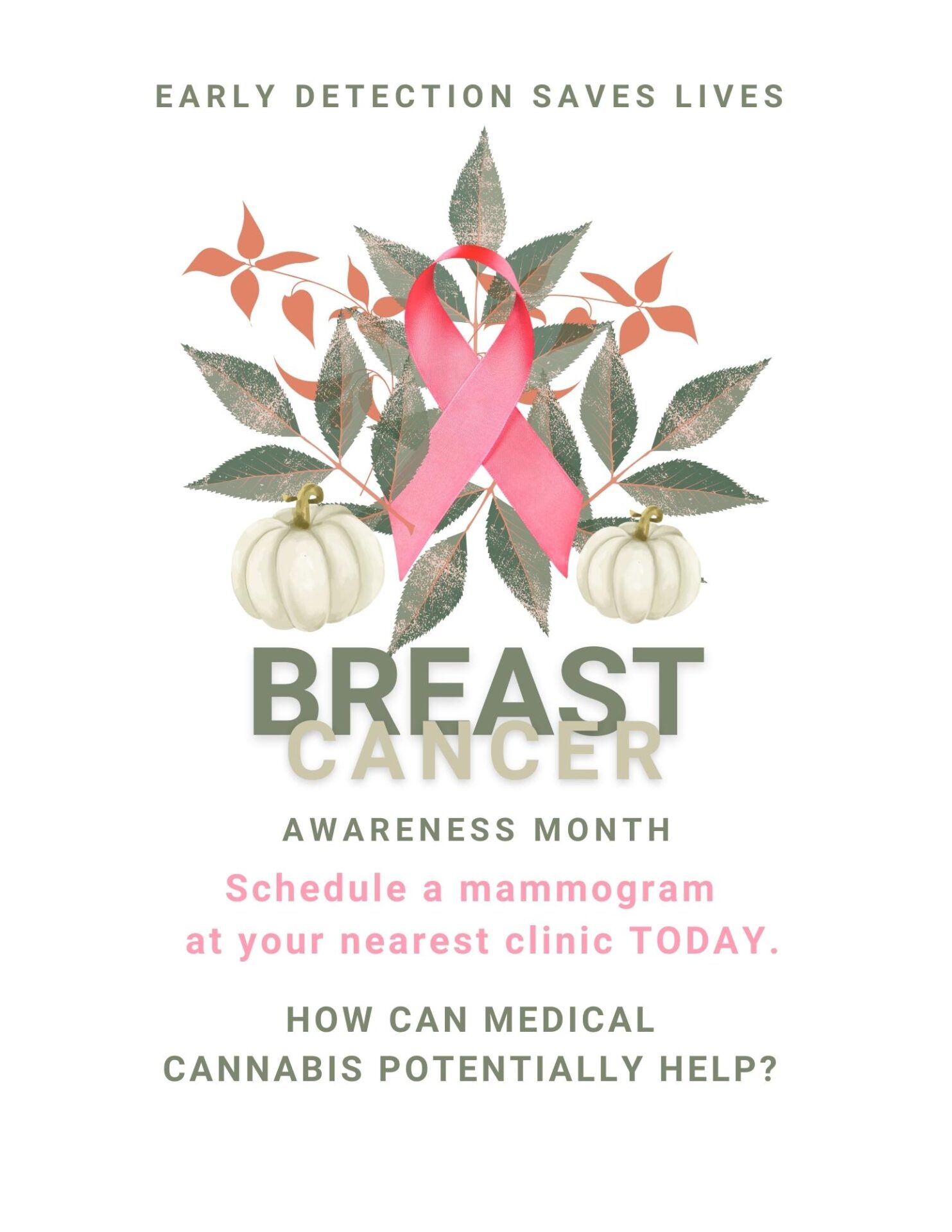 Can Medical Cannabis Help Breast Cancer Patients?